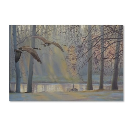 Rusty Frentner 'Geese An Pond' Canvas Art,16x24